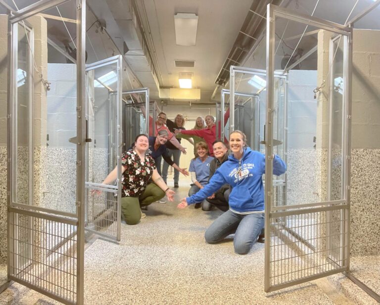 Animal Shelter Empties for the First Time in 47 Years