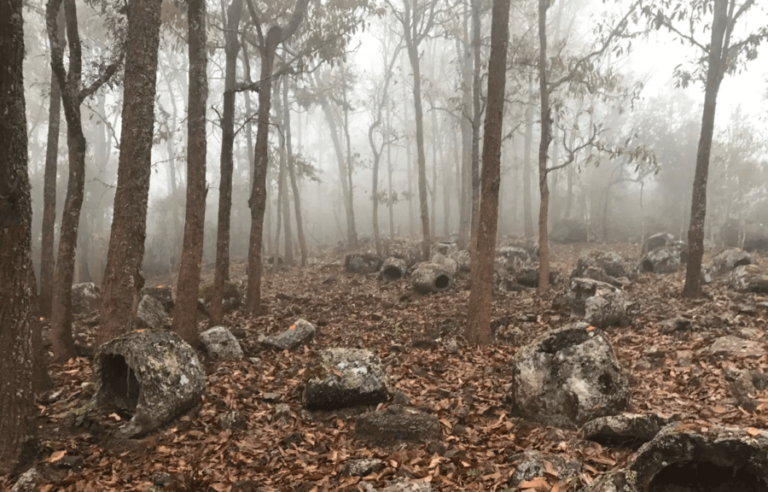 137 Giant “Jars Of The Dead” Found In The Remote Forests Of Laos