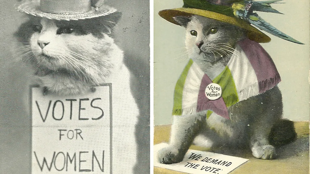 How Cat Memes Went Viral Over 100 Years Ago Beroad