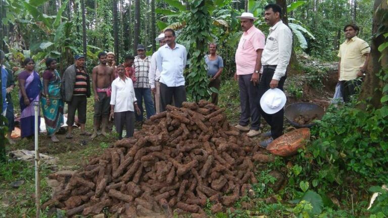 More Than 1,000 Unexploded 18th-Century Rockets Discovered in India