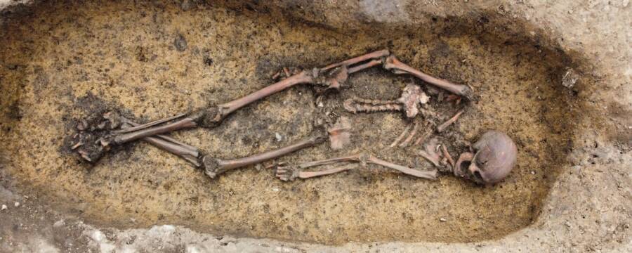 50 Viking Skeletons Unearthed in Denmark: A Remarkable Discovery for Archaeology